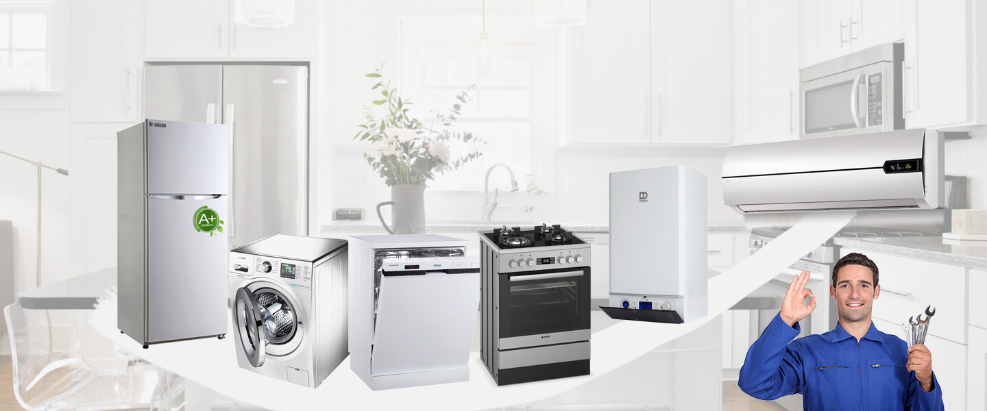Karlıova Gorenje Servisi